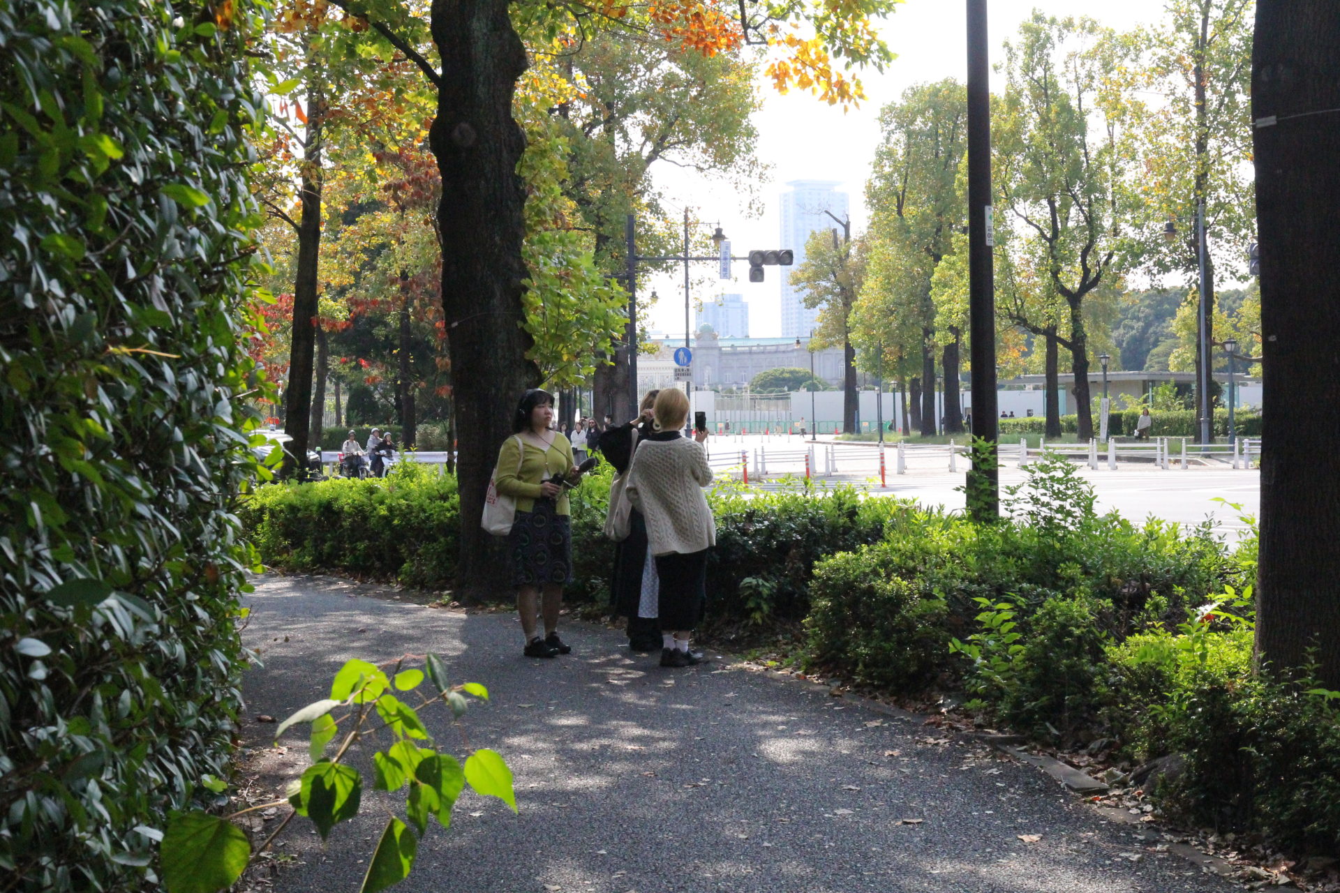 DAY2/シネマポートレイト 